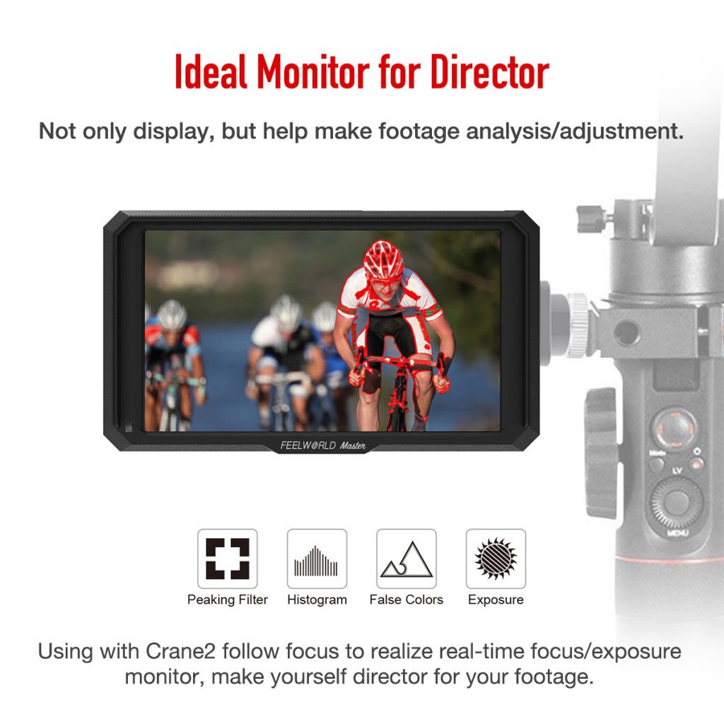 Ideal Monitor for Director